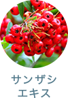 サンザシエキス